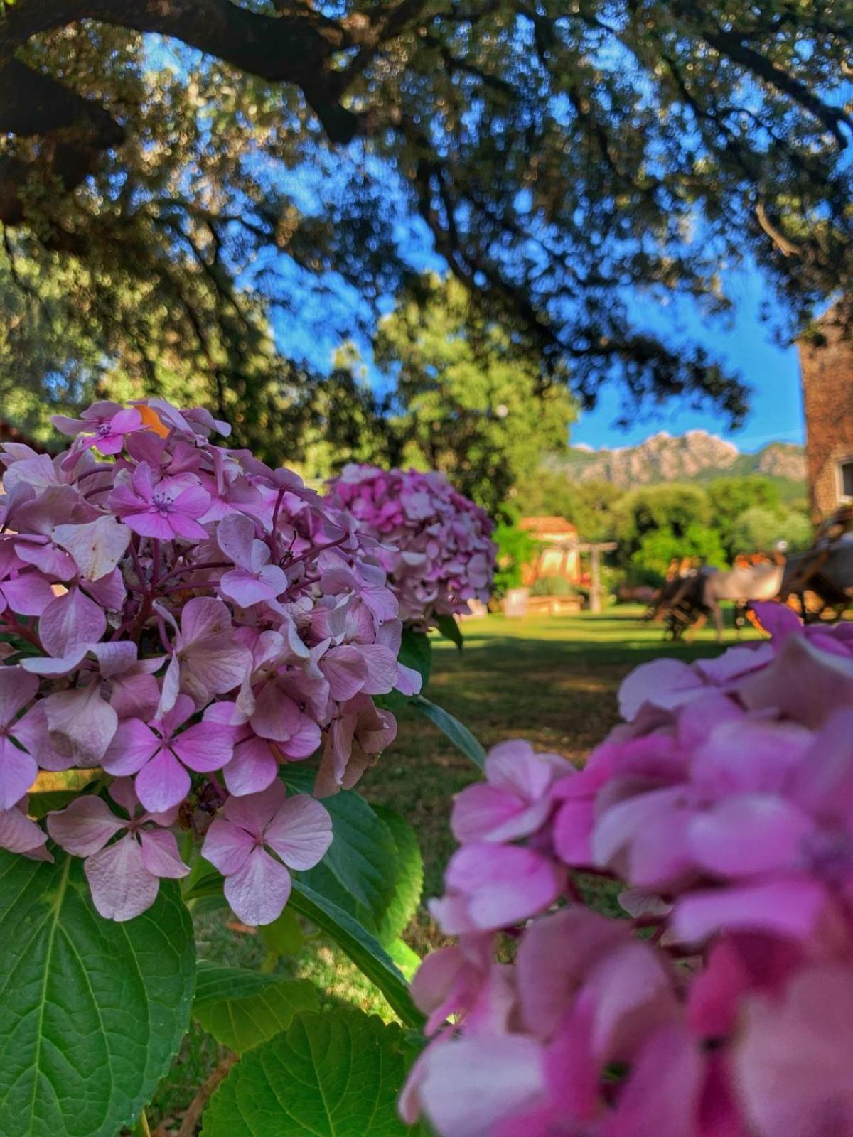 Agriturismo Casteddu Padru 외부 사진